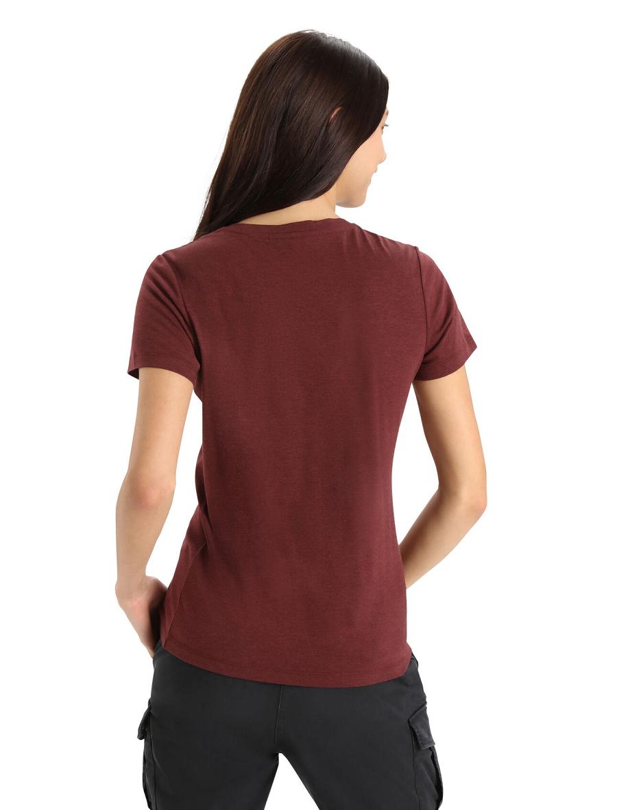 Women's Icebreaker Merino Central Classic Short Sleeve T Shirts Espresso | CA 1383AHKP